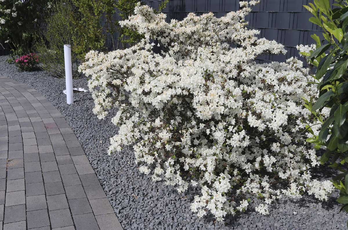 Referenz Galabau Wirth: Klassische Gartenelemente mit Sträuchern